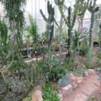 Экскурсия в оранжереи Ботанического сада "Тропический маршрут" 