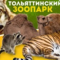 Тольяттинский передвижной зоопарк (Россия, Самарская область)