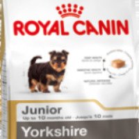 Корм Royal Canin Junior для Йоркширских терьеров