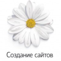 Книга "Создание сайтов" - А. Бабаев, Н.Евдокимов, М.Боде