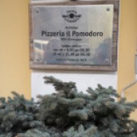 Мастер-класс по приготовлению пиццы в ресторане "Pizzeria Il Pomodoro" (Россия, Москва)