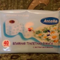 Влажная туалетная бумага Antella