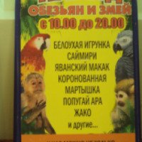 Выставка животных "Парад обезьян и змей" (Россия, Мичуринск)