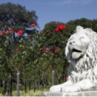 Королевский ботанический сад (Австралия, Сидней)
