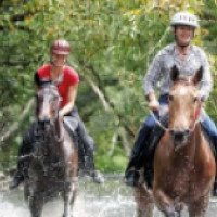 Прогулка на лошадях Rainforest Horse Rides Mount-N-Ride Adventures (Австралия, Кэрнс)