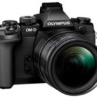 Цифровой фотоаппарат Olympus OM-D EM-10