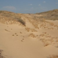 Пустыня Алешковские пески 