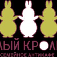 Антикафе "Белый Кролик" (Россия, Москва)
