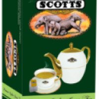 Зеленый чай Scotts