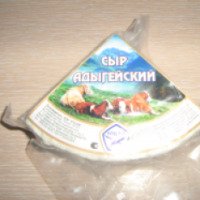 Сыр адыгейский "НТЦ XXI"