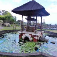 Экскурсия в водный дворец Tirta Gangga 
