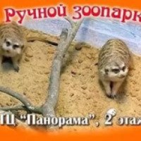 Ручной зоопарк в ТЦ "Panorama" (Россия, Набережные Челны)