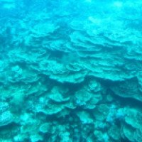 Погружение на подводной лодке к морскому рифу 