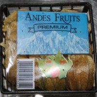 Физалис Andes Fruits Colombia