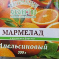 Мармелад с кусочками фруктов Кондитерская фабрика Богородская "Апельсиновый"