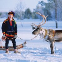 Экскурсия на оленью и собачью ферму в Рованиеми (Финляндия)