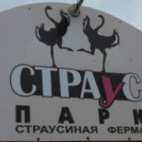 Страусиная ферма "Страус парк" (Россия, Пермь)