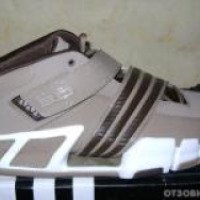 Кроссовки Adidas Pilrahna III