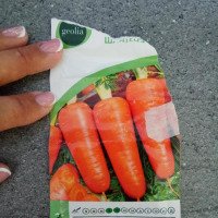 Семена моркови Geolia "Шантенэ Роял"