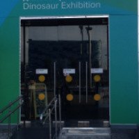 Выставка динозавров (Россия, Сочи)