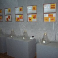 Выставка "Доисторические насекомые в янтаре" (Россия, Ульяновск)