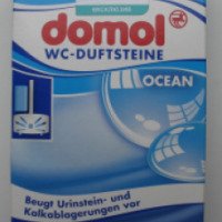 Дезинфицирующее средство для унитазов Domol
