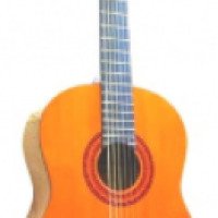 Акустическая гитара Martinez FAC-501