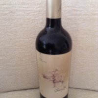 Красное сухое испанское вино Juan Jil