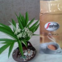 Кофе молотый Segafredo Buono
