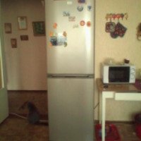 Холодильник Zanussi ZRB 338 SO