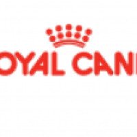 Акция корма для кошек Royal Canin 2013