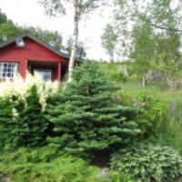Кемпинг "Roldal Hyttegrend&Camping" (Норвегия, Ролдал)