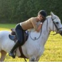 Любительский конный спорт