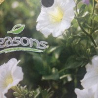 Набор инструментов для комнатных растений "Seasons"