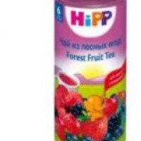 Чай из лесных ягод HiPP