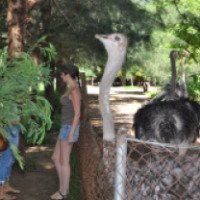 Экскурсия на Остров страусов и оленей (Вьетнам, Нячанг)