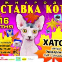 Выставка кошек (Украина, Харьков)
