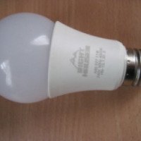Лампа светодиодная Right Hausen