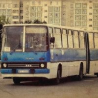 Автобус Ikarus 280