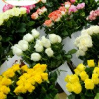Semicvetic.com - интернет-магазин цветов