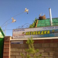 Гостевой домик "Незабудка" (Киргизия, Иссык-Куль)