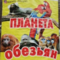 Выставка экзотических животных "Планета обезьян" (Россия, Шахты)