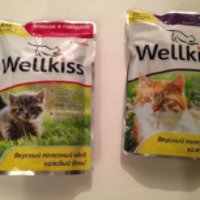 Влажный корм для кошек Continental Nutrition "Wellkiss"