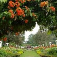 Ботанический сад (Малайзия, о. Пенанг)