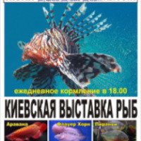 Киевская выставка рыб (Украина, Каменское)