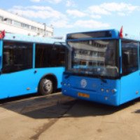 Автобус №144 (Россия, Москва)