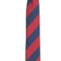Детский галстук Acoola
