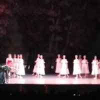Балет "Сильфида" Мариинский театр (Россия, Санкт-Петербург)