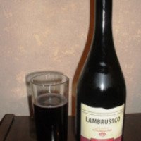 Винный напиток полусладкий красный Винзавод Первомайский Lambrussco