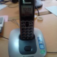 Телефон Panasonic KX-TGA641 RU